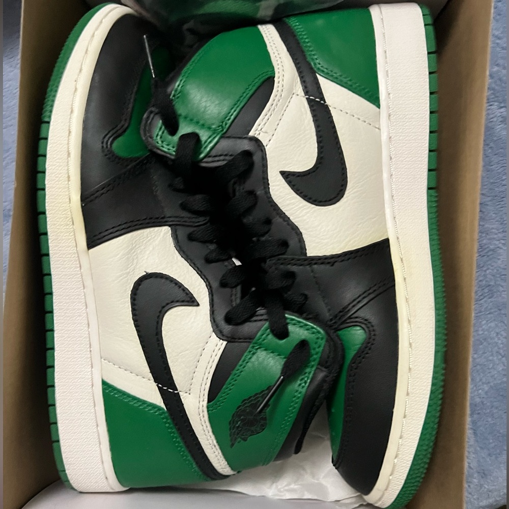 Pine Green 1 (2018)